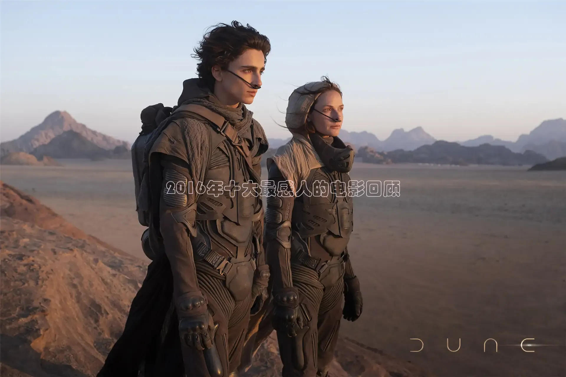 樱花视频在线观看免费高清电视剧